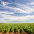 Risk Management Center