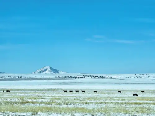 Shelby, MT Photo