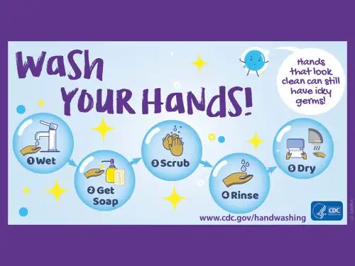 https://www.leavitt.com/dA/7ea8d82124/featuredImage/blog-hand-washing-infographic.jpg/500w/webp/60q