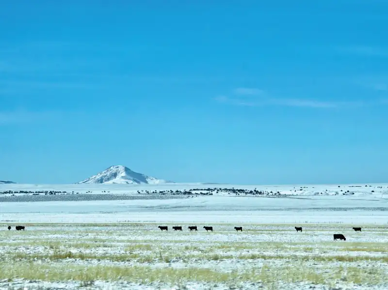 Shelby, MT Office